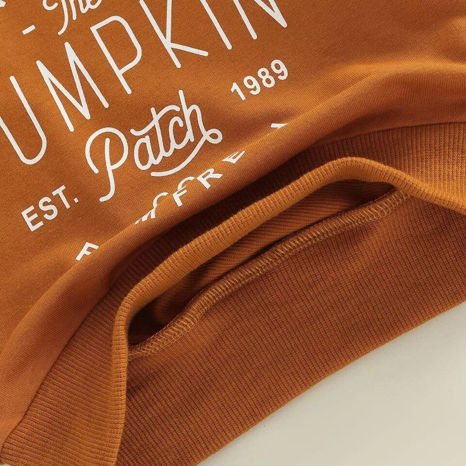 Pumpkin Patch Handpicked and Farm fresh Pullover Sweatshirt for Baby or Toddler Boy or Girl Long Sleeve Onesie