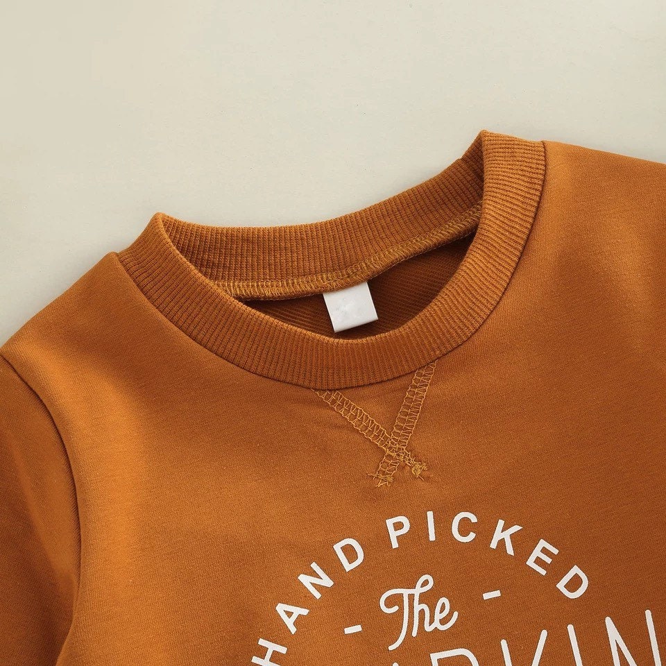 Pumpkin Patch Handpicked and Farm fresh Pullover Sweatshirt for Baby or Toddler Boy or Girl Long Sleeve Onesie